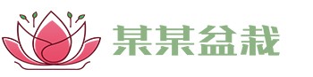 jinnianhui官网 - 金年会